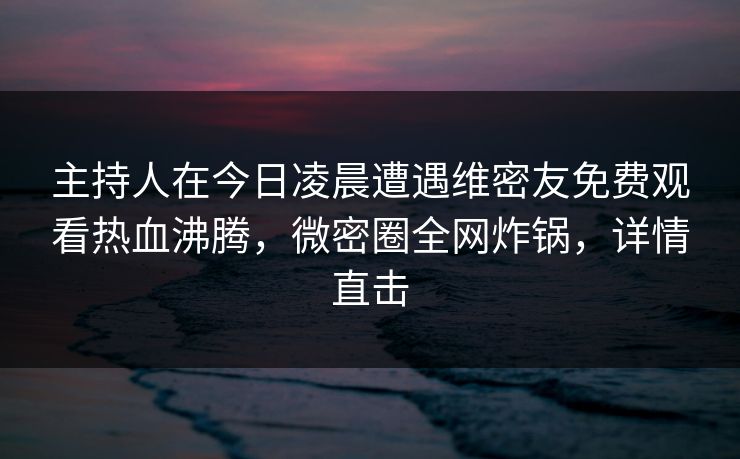 主持人在今日凌晨遭遇维密友免费观看热血沸腾,微密圈全网炸锅,详情直击