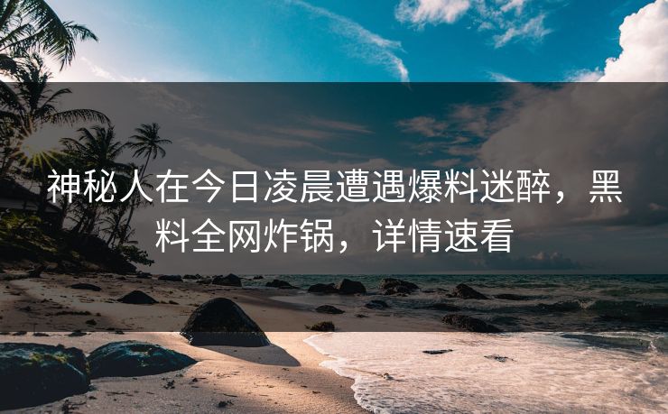 神秘人在今日凌晨遭遇爆料迷醉,黑料全网炸锅,详情速看