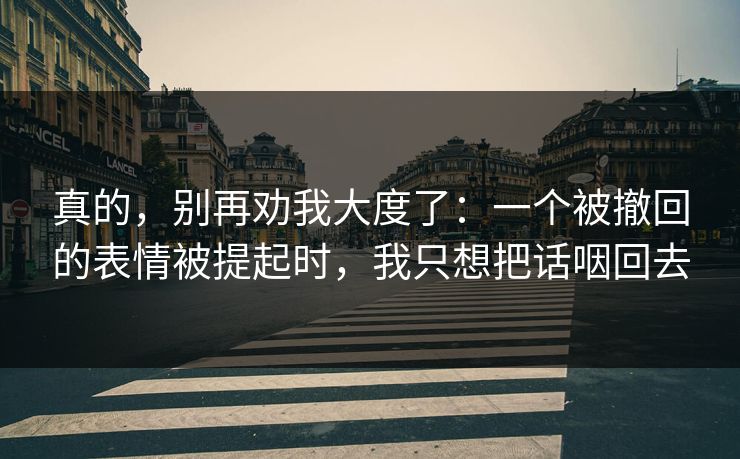 真的，别再劝我大度了：一个被撤回的表情被提起时，我只想把话咽回去